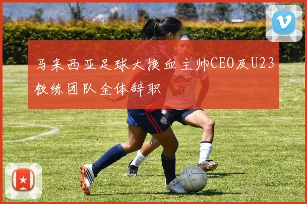 马来西亚足球大换血主帅CEO及U23教练团队全体辞职